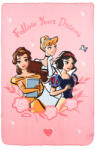 Hercegnők Disney Hercegnők Follow Your Dreams polár takaró 100x150cm (SNXHY46018)