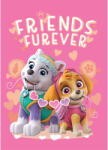 Mancs Őrjárat Friends Furever polár takaró 100x140cm (BRM014060) - ostore