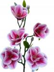 Magnolia műág 75 cm 5 Rózsafej Prémium, mint az élő (RAVkwiaty)