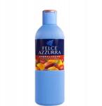 Felce Azzurra Amber & Argan Tusfürdő 650 ml (8001280068034)