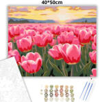  Aranyló tulipán tenger - számfestő készlet - 40×50 cm (Keretre feszítve)