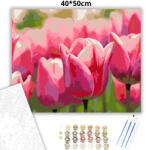  Pirkadati tulipánok - számfestő készlet