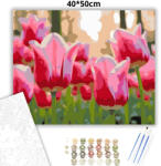  Üde tulipánszirmok - számfestő készlet