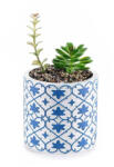 Decorer Planta suculenta artificiala in ghiveci ceramica alba albastra Ø 11 cm x 19 H (A61.00.36B)