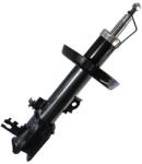 ASAM 70400 amortizor