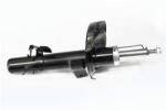ASAM 70460 amortizor