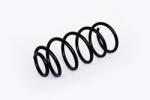ASAM 73812 Arc spiral
