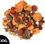  Extra terméscsomag - terrakotta - természetes dekorációhoz és koszorúhoz