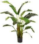  Élethű Strelitzia (papagájvirág) dekor műnövény cserépben 170 cm