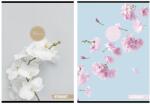 STREET Caiet căptușit STREET A/4 54 pagini cu margine Flowers 65700 (65700)