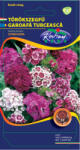 Rédei Kertimag Zrt Törökszegfű (Dianthus barbatus) magas színkeverék (0, 5 g)