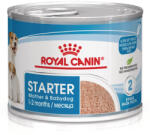 Royal Canin SHN WET Starter Mousse 12x195g