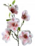 Magnolia műág 75 cm 5 Fej világos Prémium rózsaszín, élő (RAVkwiaty)
