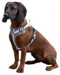 Kerbl Harness Fitty - Нагръдник за кучета, обиколка врат 50-85 см, обиколка гърди 75-100 см, ширина - 25 мм, кафяв и бежово, Германия - 85758