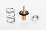 ASAM 75202 termostat lichid racire