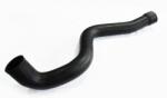 ASAM 30858 IESIRE Furtun ear supraalimentare