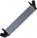 ASAM 30909 LUNG Intercooler compresor