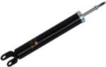Asam Automotive amortizor ASAM AUTOMOTIVE 55074 (55074)
