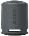 Sony SRS-XB100B