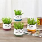 Iris E5720 ochelari decor cap cu flori artificiale în ghiveci bicolor 9x14cm (E5720)