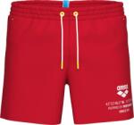 arena Graphic beach short l
