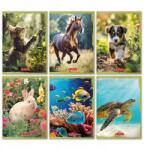 Herlitz A5 16k kockás füzet Animals Herlitz (9583048)