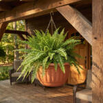  Műanyag függesztett cserép lánccal - terrakotta - 30 x 18 cm (GL11993)