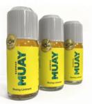 Namman Muay Thai olaj Namman Muay 120 ml - polanatea - 5 502 Ft