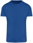 Ecologie EA004 AMBARO ÚJRAHASZNOSÍTOTT SPORT PÓLÓ 2XL (EA004ROYXXL050)
