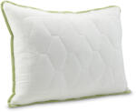 Dormeo perna Clasica Aloe Vera JC5 50x70 cm (1000234191)