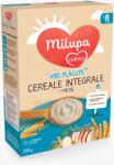 Milupa Vise placute, cereale, integrale cu mere, 250 g (1100019794)