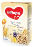Milupa Musli Junior, cereale, cu banane si prune, 250 g (1100019801)