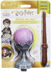 Spin Master Harry Potter Glob Potiuni Magice (778988331934)