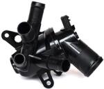 ASAM 99901 termostat lichid racire