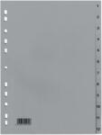 Optima Index plastic numeric 1-12, OPTIMA