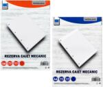 PAPERLAND Rezerva caiet mecanic A4, 100 file, PAPERLAND matematica