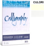 FAVINI Hartie pentru caligrafie FAVINI Calligraphy Pergamena, A4, 90 g/mp, 50 coli/top crem