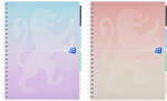 OXFORD Caiet cu spirala A4+, 4 separatoare, 80 file, matematica, OXFORD Project Book Pastel