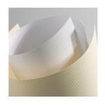  Carton special LINES A4, 230g/mp, 20 coli/top ivory