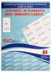  Etichete autocolante color, colturi drepte, 100 coli/top 24/A4 (70 x 37 mm)-albastru