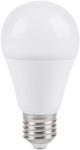 TED Electric Bec LED E27, 18W, 1980 lumeni TED ELECTRIC
