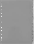 Optima Index plastic numeric 1-31, OPTIMA