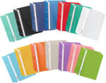 ACCENTA Dosar plastic cu sina si gauri ACCENTA, 25 buc/set roz