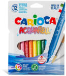 CARIOCA Carioci tip pensula 12 culori/set CARIOCA Acquarell