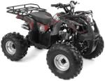 HECHT 56126 HURON benzinmotoros quad, 4 ütemű, 125cm3, 8.1Le, Max: 120 kg (HECHT56126HURON)