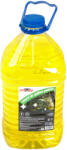 MTR Lichid parbriz gata diluat MTR 5L (800517)
