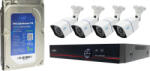 PNI Kit supraveghere video AHD PNI House PTZ1500 cu 4 camere exterior 5MP si PNI SafeHouse 1TB inclus (pni-pt1500-1tb) - cel