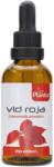 Artesania Agricola Plantis Tinctură de frunze de viță roșie, 50 ml, Artesania Agricola