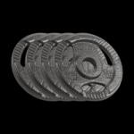 Rebel Discuri pentru haltere 4x1.25kg, 31mm, REBEL ACTIVE (L-RBA-2132)