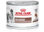Royal Canin VHN Dog Recovery 12x195g - krizsopet